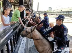 里尔训练开放日，关键时刻扳平良机引欢呼，足总杯在即，纪律约束更严格